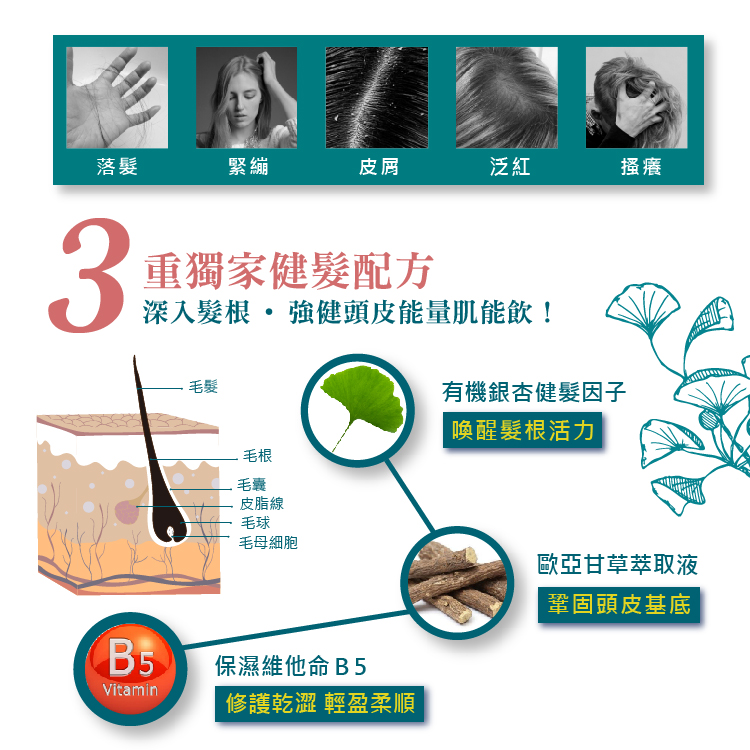 1574068167288226.jpg 植淨林舒敏強健洗髮-文案(調)_10.jpg