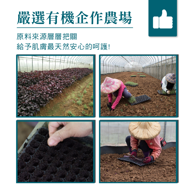 1574068174946311.jpg 植淨林舒敏強健洗髮-文案(調)_13.jpg