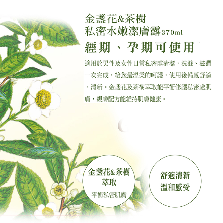 1574124647464958.jpg 20190708-私密370ml(改)_金盞花&洋甘菊介紹-1.jpg