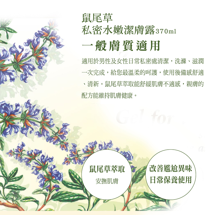 1574124678580455.jpg 20190708-私密370ml(改)_鼠尾草介紹-1.jpg